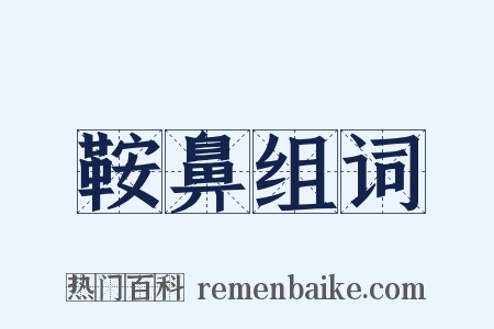 鞍鼻组词是什么意思的图片